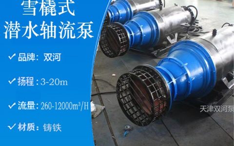 2026年4月更新！天津化工泵选购权威榜单出炉，天津双河泵业凭何稳居前列？