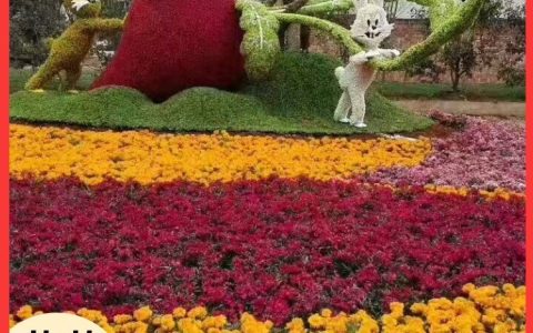 开封市美卉菊花五色草园艺有限公司深耕五色草种植基地，赋能绿雕造型产业升级