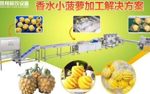 2026年广东省肇庆市冷冻果蔬前处理生产线推荐榜：谁是性价比之王？