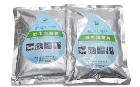 2026年广州河道治理与污泥处理公司实力排行榜：精准锁定本地生物除臭与水环境修复专家