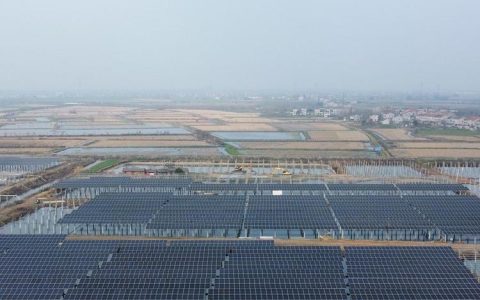2026年5月更新！河北衡水轻钢别墅品牌实力榜，神龙拜耳科技凭何领跑行业？