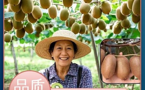 韵程（枣庄）绿色农业有限公司推出优质红颜草莓苗，助力农业产业升级