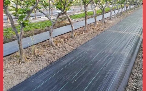突破防渗技术瓶颈，德州锦旺土工材料有限公司鱼塘土工膜获市场青睐