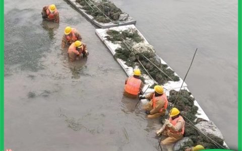 河北雄安锦湖水生态科技有限公司发布新型浮岛浮床，赋能水环境治理
