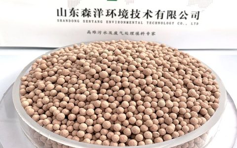2026年山东省潍坊市电芬顿设备推荐榜与选购解析