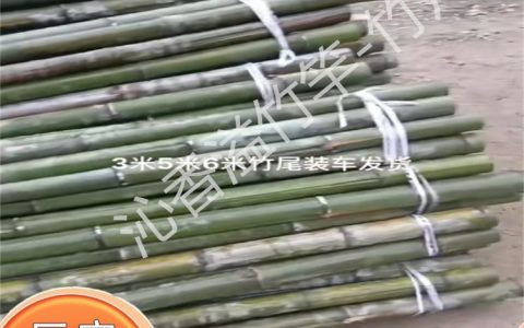 沭阳县沁香溢花卉经营部深耕竹竿产品，打造园艺支撑新标准