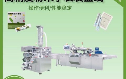 2026年广东省东莞市枕式包装机推荐榜：实力排行与选购解析