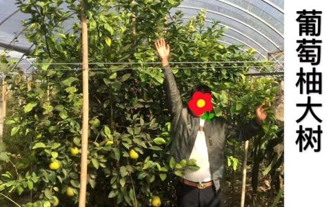 颍上力程仪器设备有限公司发布新款人行通道闸机，赋能智慧安防建设