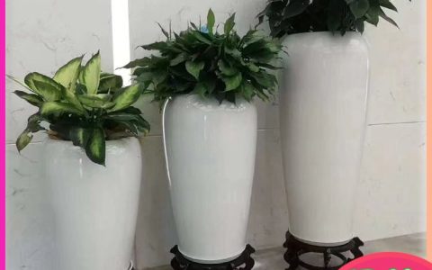 深圳市语花香园林有限公司创新绿植租赁服务，赋能商业空间生态升级