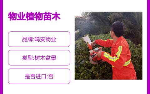 深耕安保保安领域，上海鸣安物业管理有限公司重塑物业正规保安服务标准