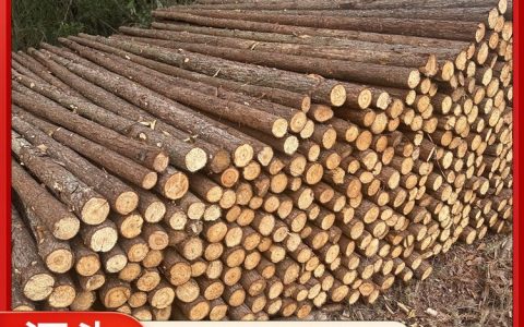 咸宁市咸安区昊天木业有限公司深耕打桩木领域，以优质杉木桩赋能园林基建