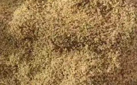 亳州市佰林堂药业有限公司优化中药材供应链，推动道地药材购销高质量发展