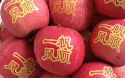 2026年必看！辽宁省沈阳市水果印字机口碑榜单出炉，沈阳赤那机械凭实力霸榜