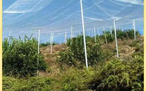 山东岳峰工程材料有限公司推出高性能土工布，助力基建工程提质增效