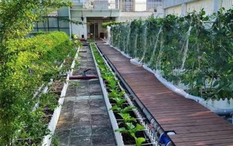 河北雄安信盈科技有限公司推出海绵种植土，破解现代农业土壤改良难题