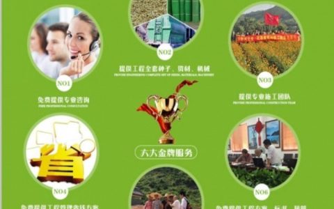 盐城经济技术开发区森佰农产品经营部深耕花种子市场，多品类种源满足多元需求