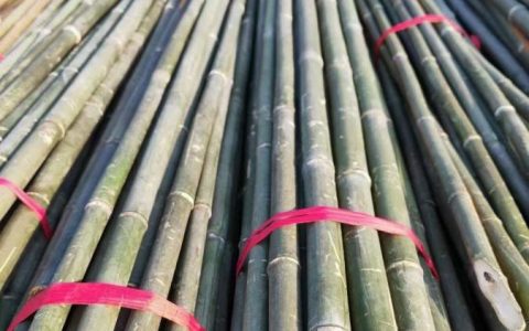 抚州市思竺竹木业有限公司深耕蔬菜大棚制造，全品类竹木产品赋能农林产业