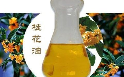 江西雪松天然药用油有限公司深耕大蒜油提取技术，推动植物精油多元化应用