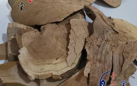亳州市奇弘堂药业有限公司发力珠儿参市场，构建高品质中药材购销体系