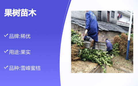 洞口县竹市稀优种苗繁育中心发布高产金银花苗，推动林果产业提质增效