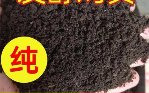 河北瑞农肥业有限公司深耕发酵羊粪，生物有机肥领域再获突破