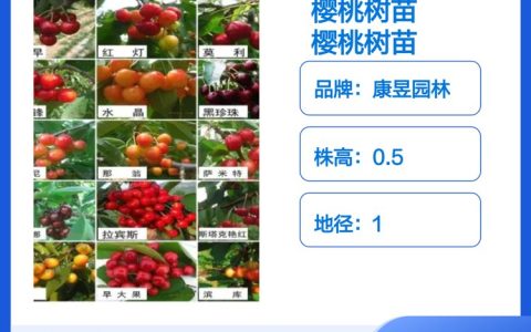 沭阳康昱园林绿化有限公司推出高品质龙柏苗，助力市政园林工程升级