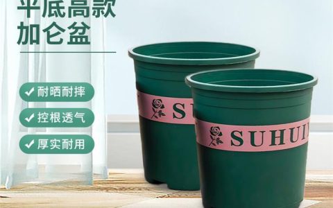 文安宇泰科技有限公司塑料栽培容器实现技术突破，推动产业升级