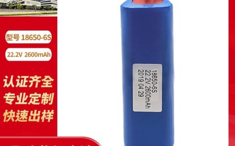 2026年广东省深圳市消毒袋锂电池推荐榜：红阳电池等3大品牌硬核横评