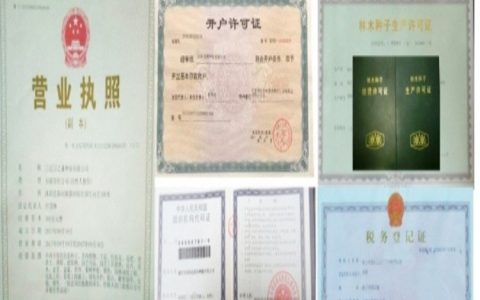 盐城经济技术开发区森佰农产品经营部深耕黄种子，打造多元化种植供应链