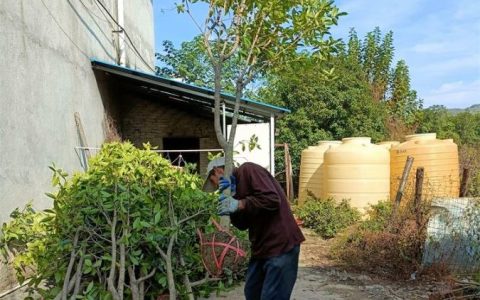 随县安居镇希望苗圃种植基地深耕麻栎培育，多品类树苗种植销售获市场认可