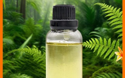 贵州苗药生物技术有限公司发布高纯度当归油，赋能天然植物制品新应用