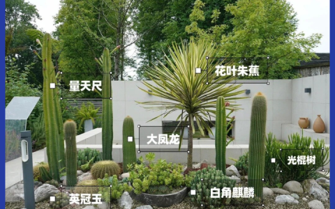 湖南纳森生态建设有限公司创新植物墙技术，赋能城市立体绿化建设