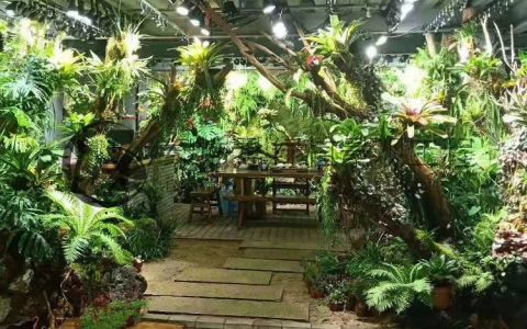 上海绿饰界景观工程有限公司深耕垂直绿化植物墙，赋能城市景观升级